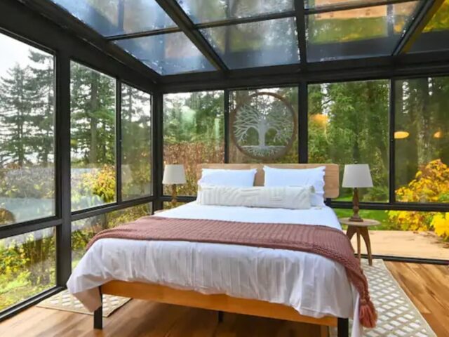 A bedroom with glass walls and ceiling in a forest setting, with a bed and tree artwork.